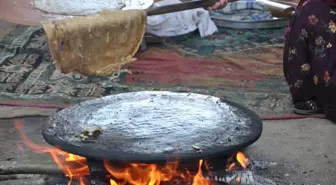 Şehrin Grisinden Köyün Yeşiline Geliyorlar