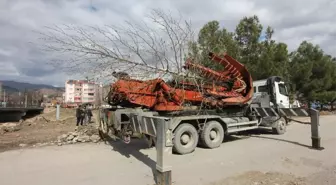 Osmancık'ta Kızılırmak Sahilindeki Ağaçlar Taşınıyor