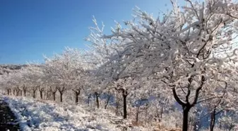 Tokat'ta Kar Yağışı Yüksek Kesimlerde Etkili Oldu