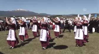 Dünya Ormancılık Günü ve Orman Haftası