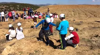 İlkokul Öğrencileri 400 Adet Fidan Dikti