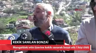 Kekik Zannedip Mangal Etine Attığı Bonzai Can Aldı