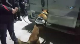 Van'da Uyuşturucu Operasyonu