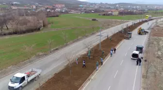 Elazığ Belediyesi'nden Bitki Dikim Çalışmaları