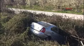 Sakarya Tem'de Çarpışan Iki Otomobil Şarampole Yuvarlandı 7 Yaralı