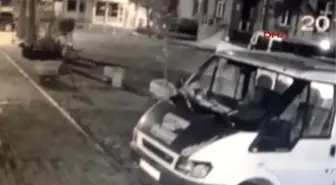 Tirebolu'da Sokak Köpeklerinin Zehirli Etle Itlaf Edildiği Iddia Edildi