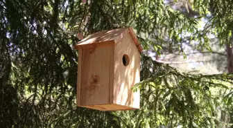 Arhavi'de Öğrencilerden Kuş Yuvası Projesi