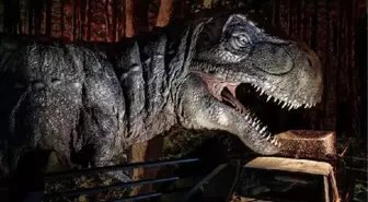 Jurassic World Sergisi, Dinozorları Müzeye Getiriyor