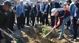 Niksar'da Öğrenciler Fidan Dikti