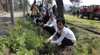 Öğrenciler Ağaç Müzesi'ne Fidan Dikti