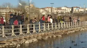 Mogan Gölü'nde Temizlik Seferberliği Başlatıldı