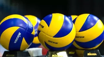 Voleybol: Efeler Ligi