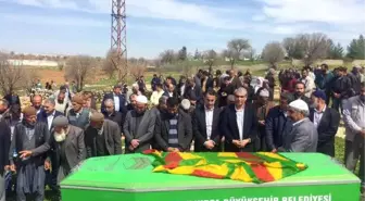 Abdullah Öcalan'ın Ablası Kalp Krizinden Öldü (2)