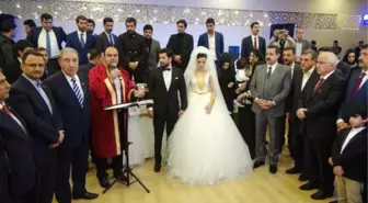 Bakan Çelik'ten Düğün Halayı