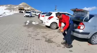 Adıyaman Kar Temizlendi, Nemrut'a Ziyaretler Başladı