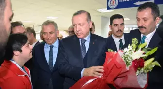 Cumhurbaşkanı'ndan Şampiyon Sporculara Ödül