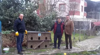 Ortahisar Belediyesinden Sokak Hayvanları İçin Barınak