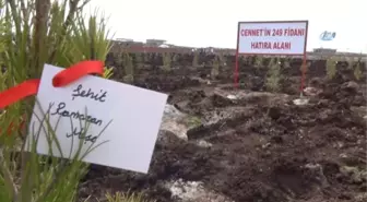 Siverek'te Her Şehidin İsmi İçin Fidan Dikildi