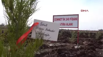Siverek'te Her Şehidin Ismi Için Fidan Dikildi