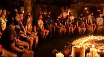 Survivor'da Dün Gece Büyük Bir Şok Yaşandı!