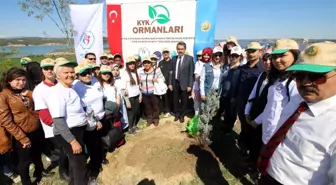 Üniversiteli Gençlerden 'Kyk Ormanı'