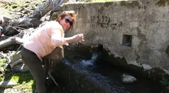 Burhaniyeli Çevrecilerden Madra Dağına Doğa Gezisi