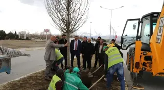 Erzincan Belediyesi Ağaçlandırma Çalışmalarına Devam Ediyor