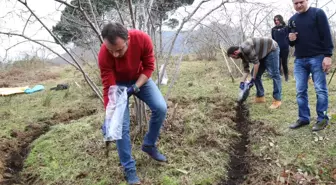 Fındıkta 'Gidya' Dönemi