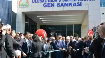 Bakan Çelik Bursa'da Gen Bankası'nın Açılışını Yaptı (2)