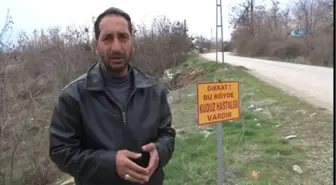 Dikkat Bu Köyde Kuduz Hastalığı Vardır'