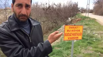 Elazığ'da Bir Köyde Kuduz Karantinası