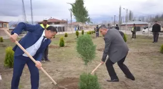 Iğdır'da Ağaç Dikme Mevsimi Başladı