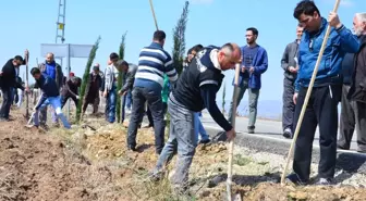 Şehitler Çam Fidanlarında Yaşayacak