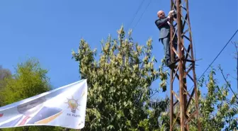 AK Parti'li Vekil Elektrik Direğine Tırmandı