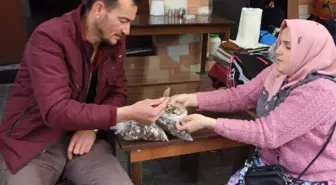 Bu Mantar Altından Daha Değerli