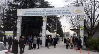 Yalova'daki Fetö Davasında, 9 Tahliye, 7 Tutuklama Kararı