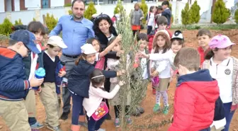 Öğrenciler Zeytin Fidelerini Toprakla Buluşturdu