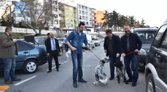 Biga'da Av Köpekleri Aşılandı