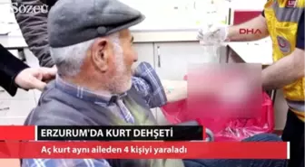 Erzurum'da Kurt Dehşeti