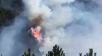 Kastamonu'da Orman Yangınları