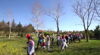 Miniklere Özel Sebze ve Meyve Tarlası