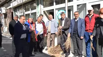 Büyükşehir Darende'de Fidan Dağıttı