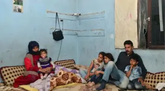 4 Çocuklu Ailenin Tek Odalı Evde Yaşam Mücadelesi
