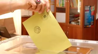 Avusturya'da Halk Oylamasına Büyük İlgi