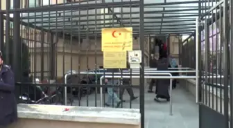 Avusturya'da Halk Oylamasına Büyük Ilgi
