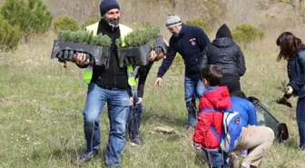 Çeküd ve Atikder Öncülüğünde 10 Bin Fidan Dikildi