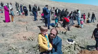 Kovancılar'da 'Ağacımla Büyüyorum' Projesi