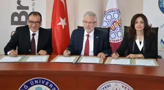 Üniversiteden Kedi ve Köpeklere Ücretsiz Mama Desteği