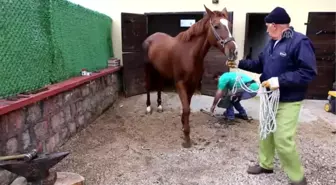 Güzel Atlar Ülkesi'Nin Nalbantı