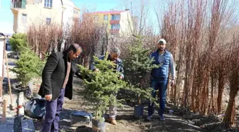 Varto'da Meyve Fidanı Satışı